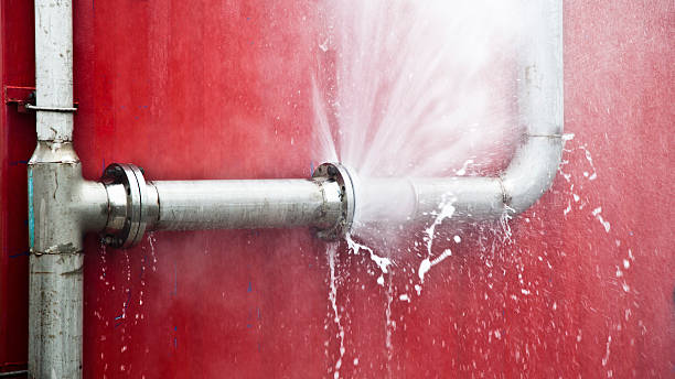 Best Local water damage restoration  in Preston, IA